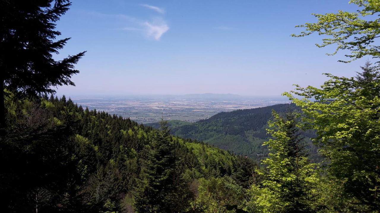 Relais & Chateaux Hotel Schwarzmatt Badenweiler Bagian luar foto